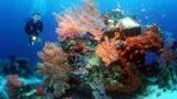 Bali Dive Sites Bali Dive Sites
